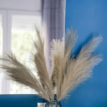 Coloris Caeruleus * Thessaloníki
